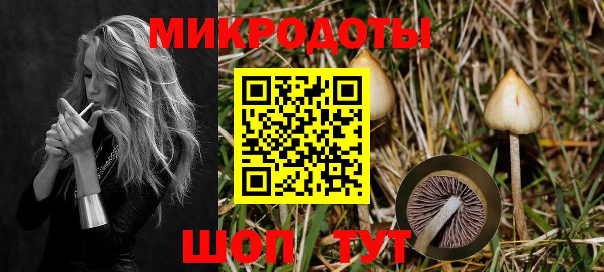 Галлюциногенные грибы Psilocybine cubensis Можга